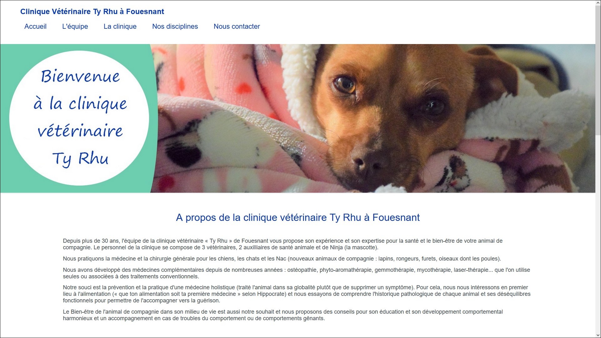 exemple de site web pour clinique une vtrinaire fait avec rapido web